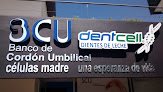 Banco De Cordón Umbilical Células Madre