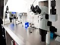 Negocio BiofÉrtil, BiologÍa De La ReproducciÓn Humana