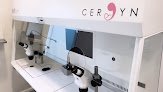 Negocio Cergyn