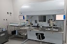 Negocio Cleico Fertility Center
