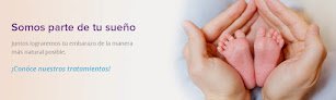 Negocio Ginecólogo En Monterrey - Clínica De Fertilidad